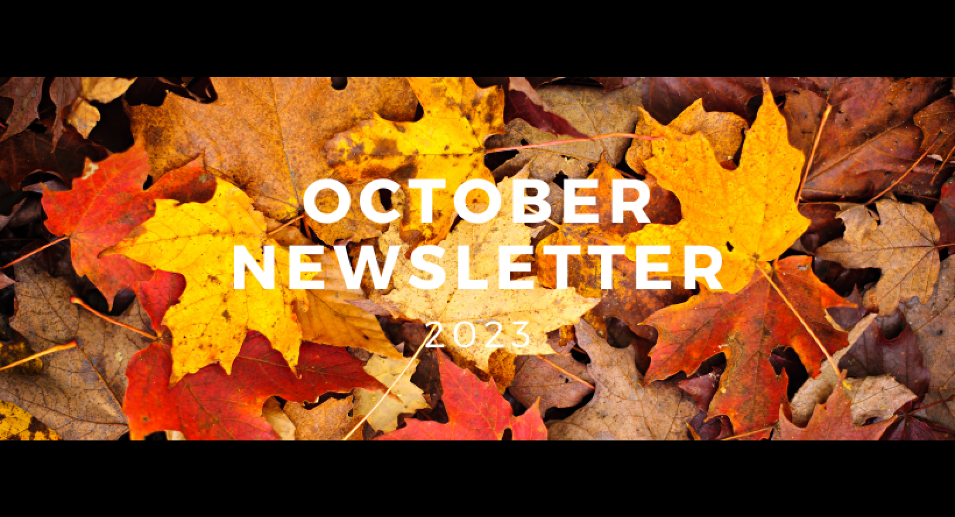 October 2023 Healthy Happenings Newsletter