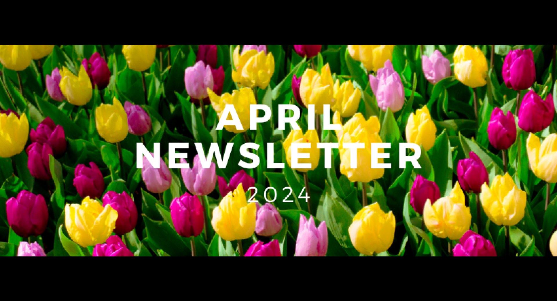 April 2024 Healthy Happenings Newsletter